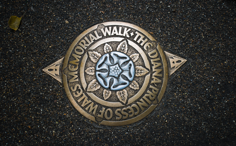 garden design landscape design