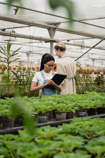 Inside a well-lit greenhouse with a transparent roof, two individuals are engaged in garden maintenance and planning activities. In the foreground, a woman with dark braided hair and glasses, wearing